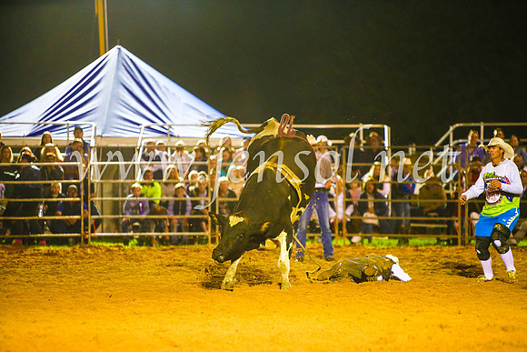 CamdenShowRodeo2017_1624