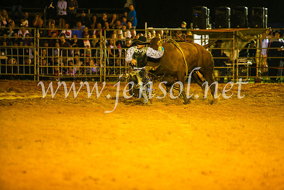 CamdenShowRodeo2017_1043