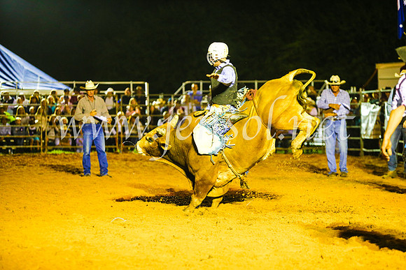 CamdenShowRodeo2017_1092