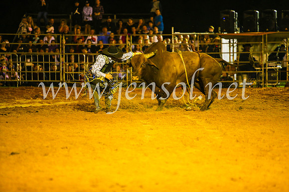 CamdenShowRodeo2017_1033