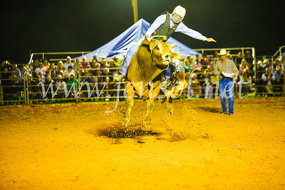 CamdenShowRodeo2017_1101