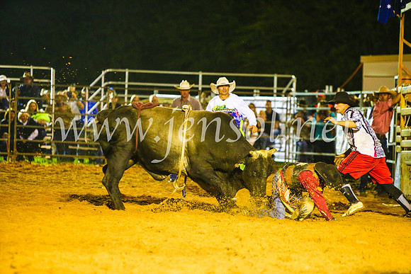 CamdenShowRodeo2017_2089