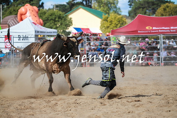 BraidwoodRodeo2016_3561