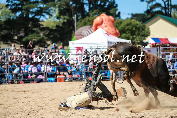 BraidwoodRodeo2016_3111