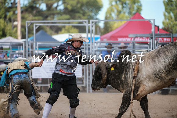 BraidwoodRodeo2016_3493