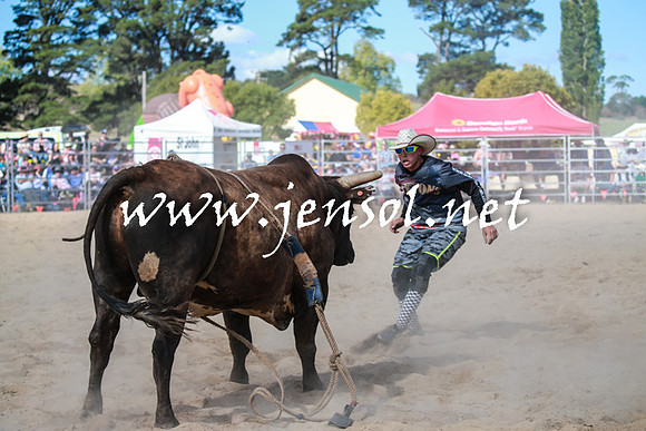 BraidwoodRodeo2016_3716