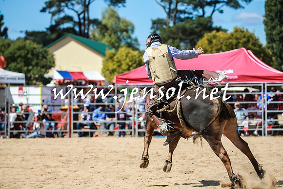 BraidwoodRodeo2016_3108