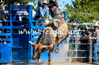 BraidwoodRodeo2016_1825