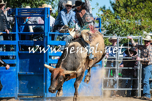 BraidwoodRodeo2016_1825