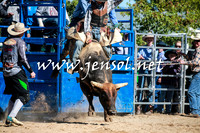 BraidwoodRodeo2016_1814