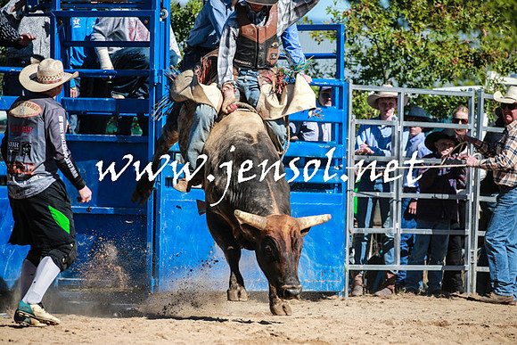 BraidwoodRodeo2016_1814