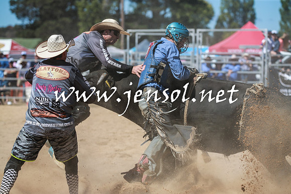 BraidwoodRodeo2016_3050