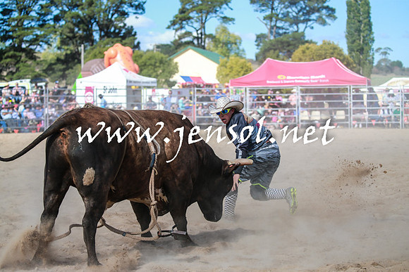 BraidwoodRodeo2016_3720