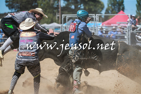 BraidwoodRodeo2016_3047