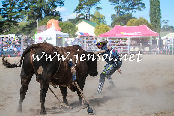 BraidwoodRodeo2016_3718