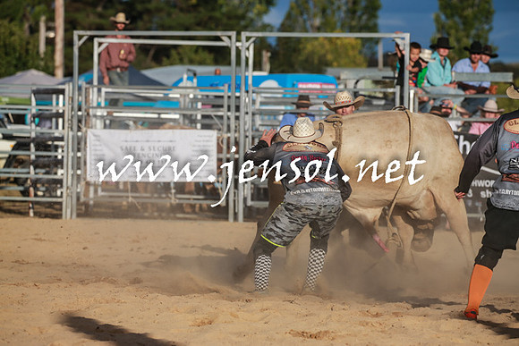 BraidwoodRodeo2016_5254