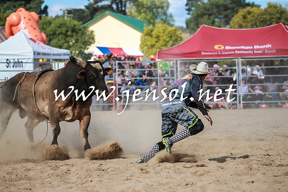 BraidwoodRodeo2016_3559