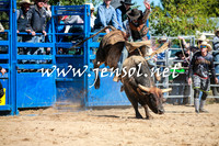 BraidwoodRodeo2016_1835