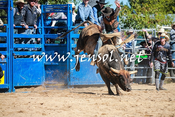 BraidwoodRodeo2016_1835
