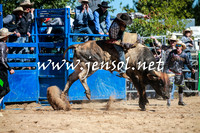 BraidwoodRodeo2016_1832