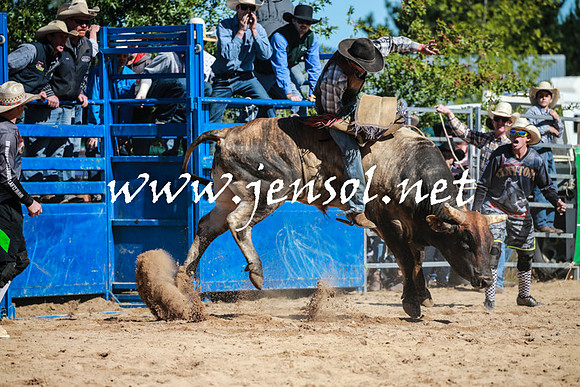 BraidwoodRodeo2016_1832