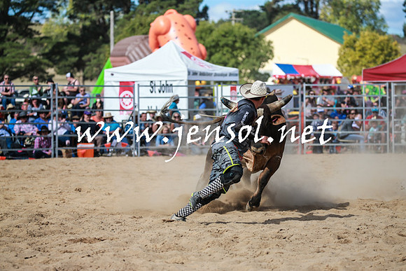 BraidwoodRodeo2016_3562