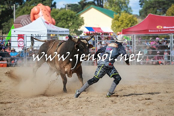 BraidwoodRodeo2016_3558
