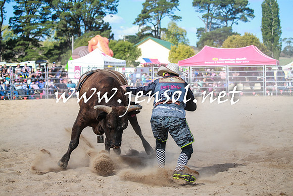 BraidwoodRodeo2016_3700