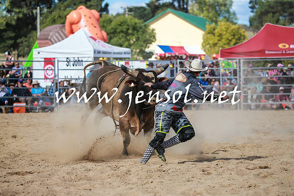 BraidwoodRodeo2016_3564
