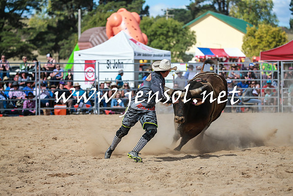 BraidwoodRodeo2016_3552