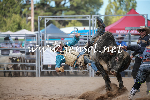 BraidwoodRodeo2016_3487