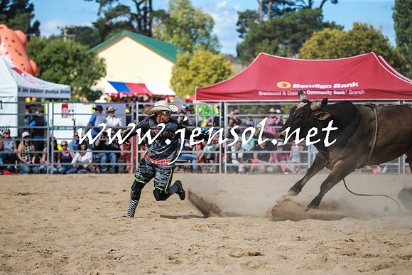 BraidwoodRodeo2016_3553