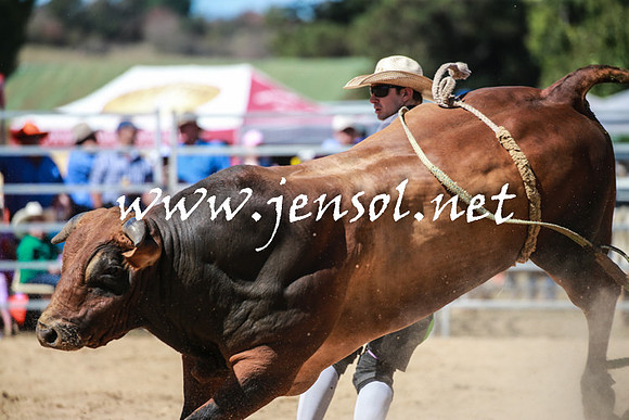 BraidwoodRodeo2016_3090