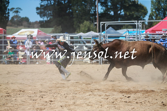 BraidwoodRodeo2016_3024