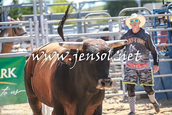 BraidwoodRodeo2016_2746
