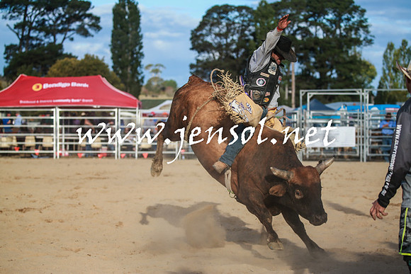 BraidwoodRodeo2016_5185