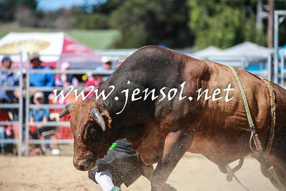 BraidwoodRodeo2016_3092