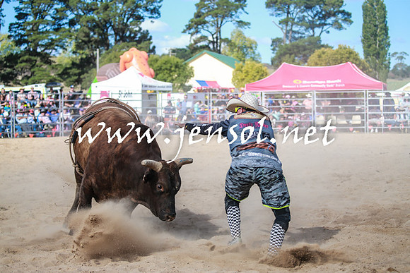 BraidwoodRodeo2016_3702