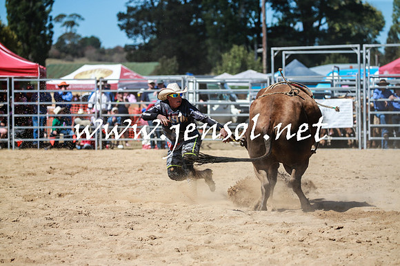 BraidwoodRodeo2016_3014