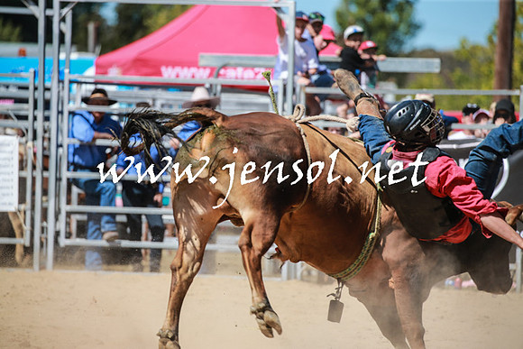 BraidwoodRodeo2016_3088