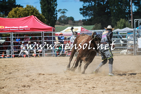 BraidwoodRodeo2016_3020