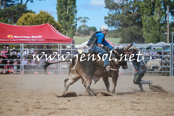 BraidwoodRodeo2016_3555