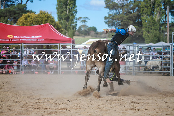 BraidwoodRodeo2016_3557