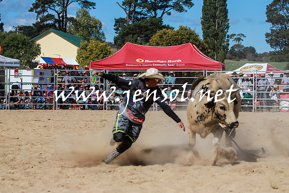 BraidwoodRodeo2016_3589