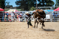 BraidwoodRodeo2016_3012
