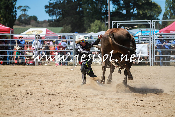 BraidwoodRodeo2016_3012