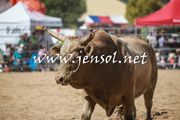 BraidwoodRodeo2016_3105