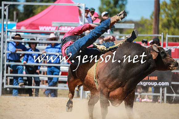 BraidwoodRodeo2016_3081