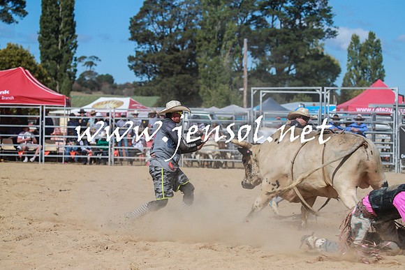BraidwoodRodeo2016_3595