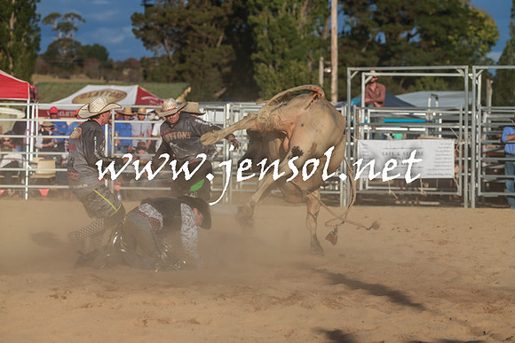 BraidwoodRodeo2016_5341